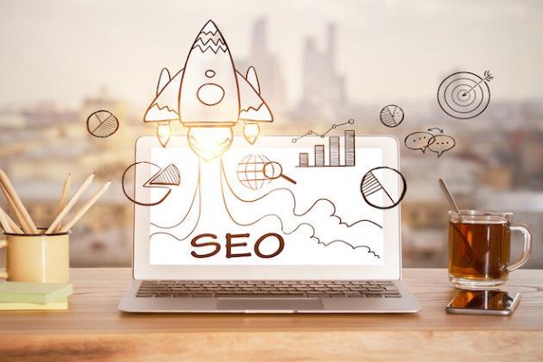 SEO Services ZimNinja